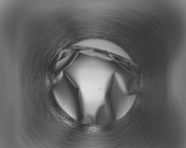 X0000085020176200704021437