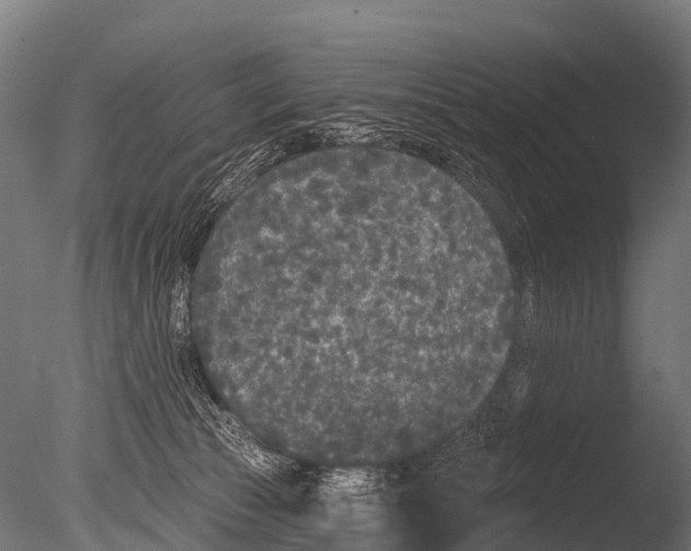 X0000085020177200704021437