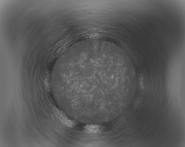 X0000085020181200704021437