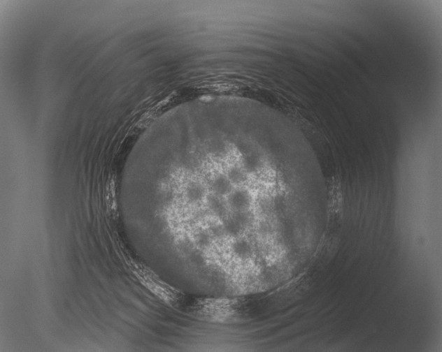 X0000085020182200704021437