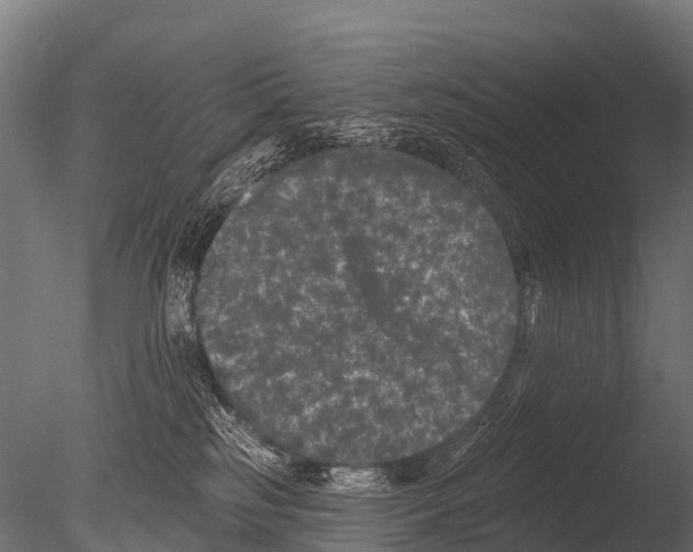 X0000085020185200704021437