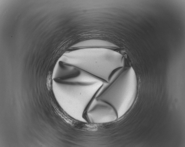 X0000085020190200704021437