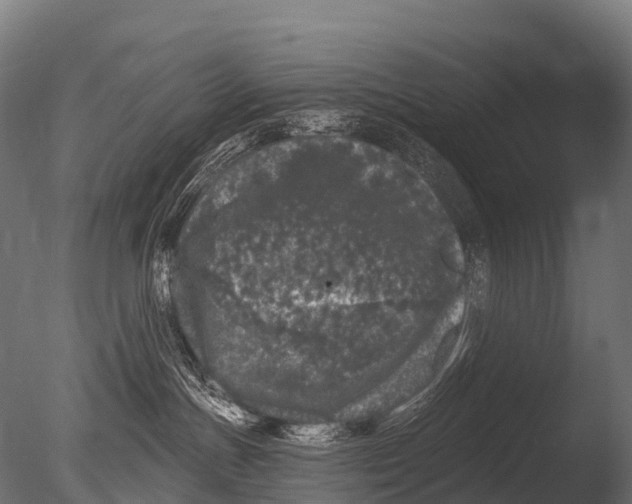X0000085020191200704021437