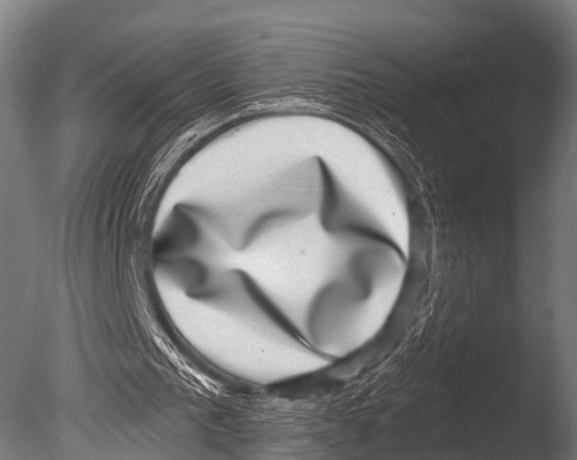 X0000085020193200704021436