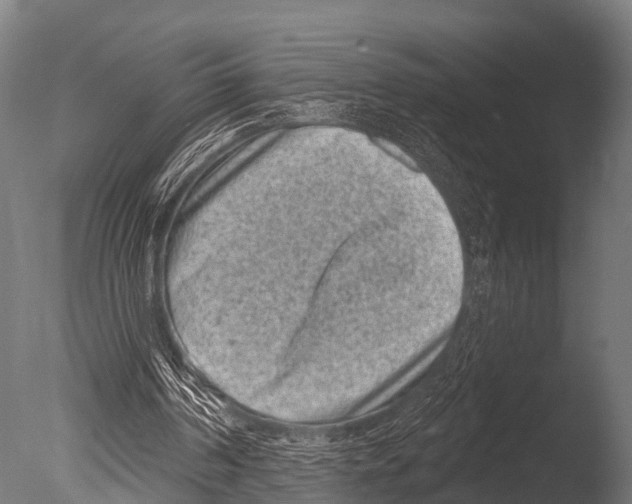 X0000085020194200704021436