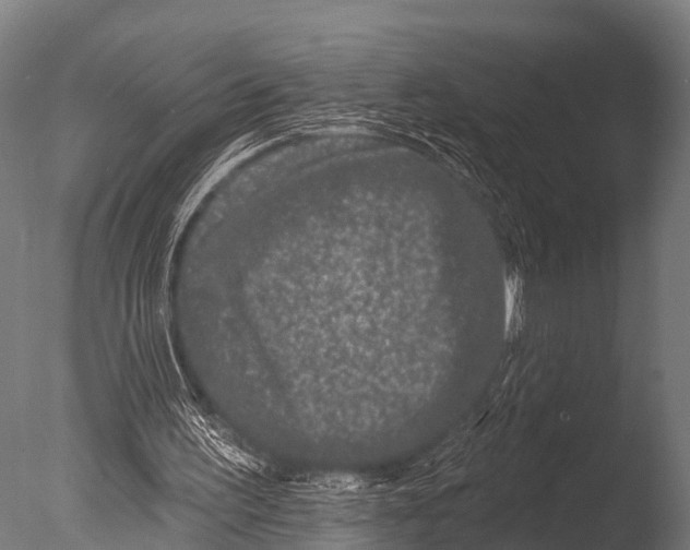X0000085020195200704021436