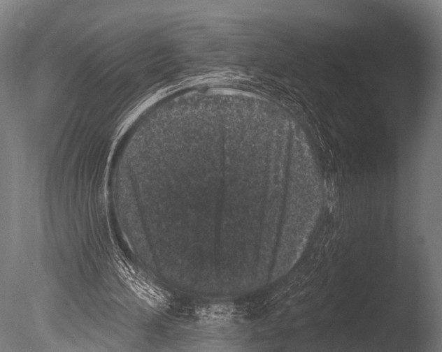 X0000085020196200704021436