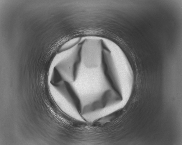 X0000085020201200704021436