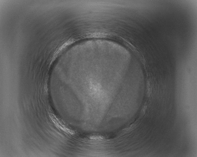 X0000085020203200704021436