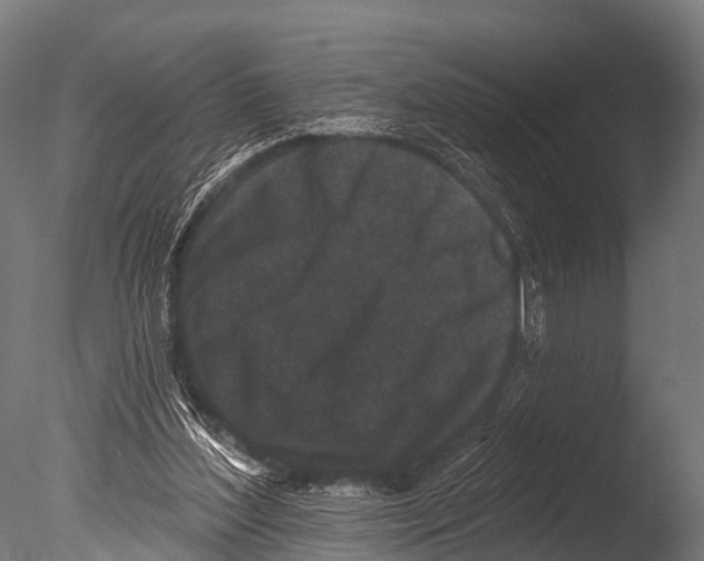 X0000085020204200704021436