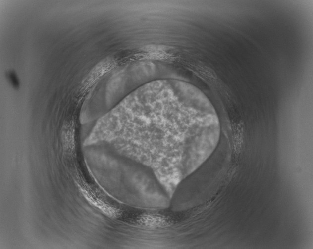 X0000085020207200704021436