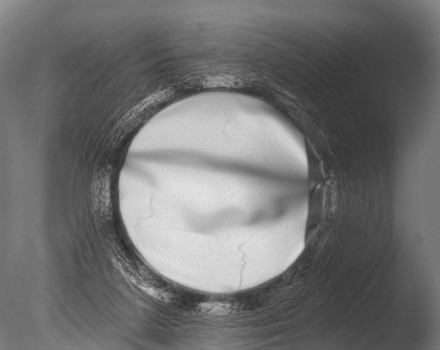 X0000085020211200704021436