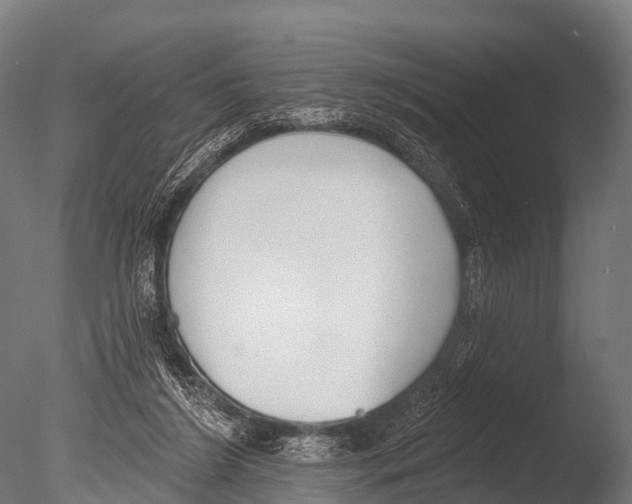X0000085020212200704021436