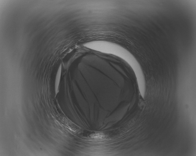 X0000085020219200704021436