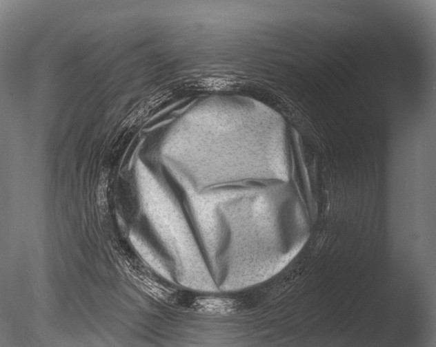 X0000085020221200704021436