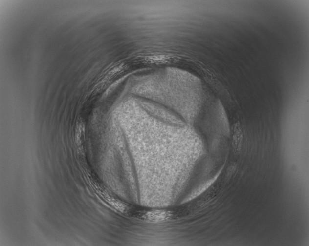 X0000085020225200704021436