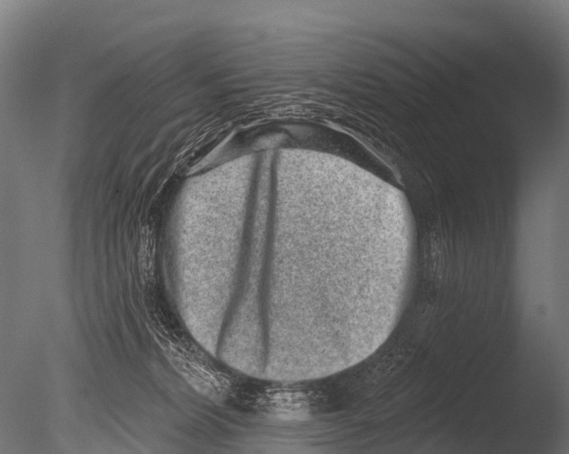 X0000085020228200704021436