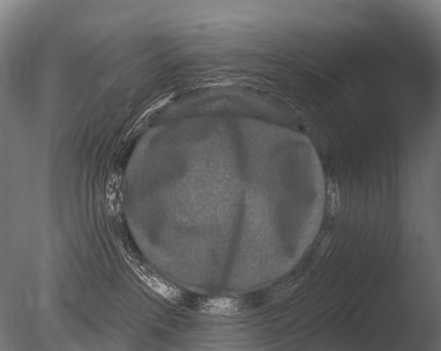 X0000085020237200704021435