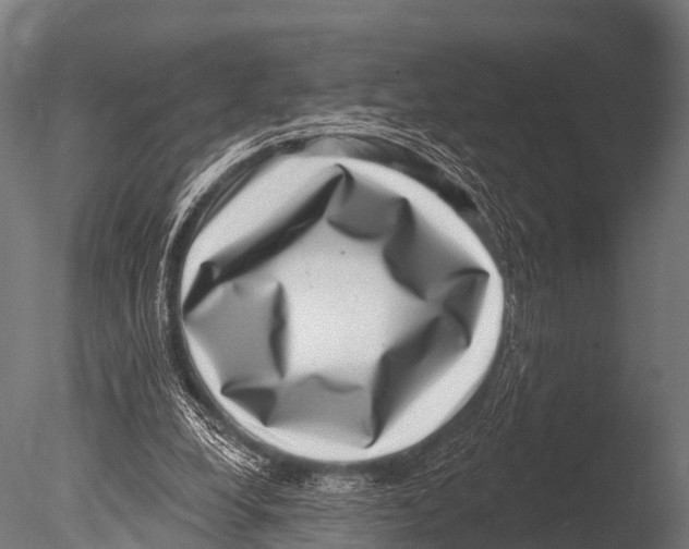 X0000085020248200704021435
