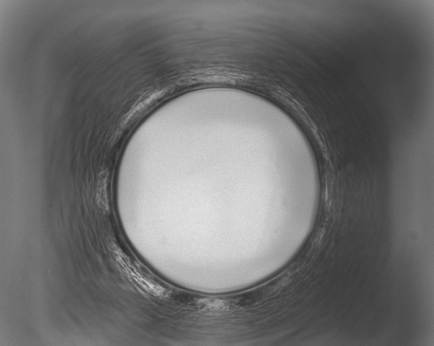 X0000085020249200704021435