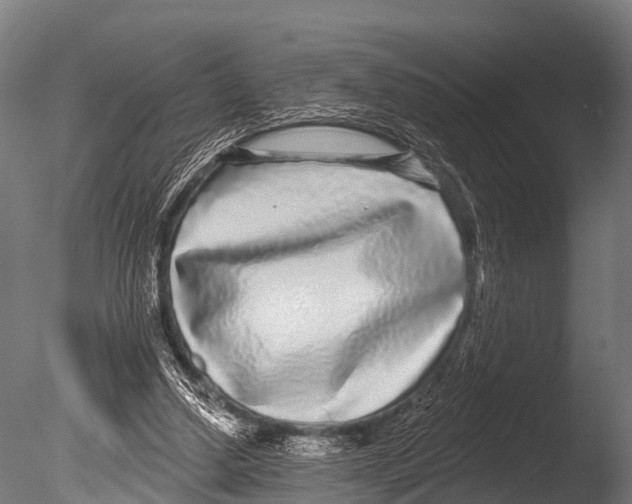 X0000085020250200704021435