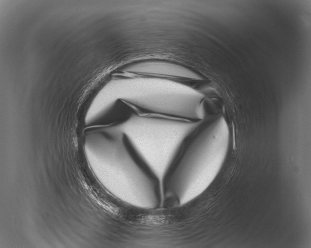 X0000085020252200704021435