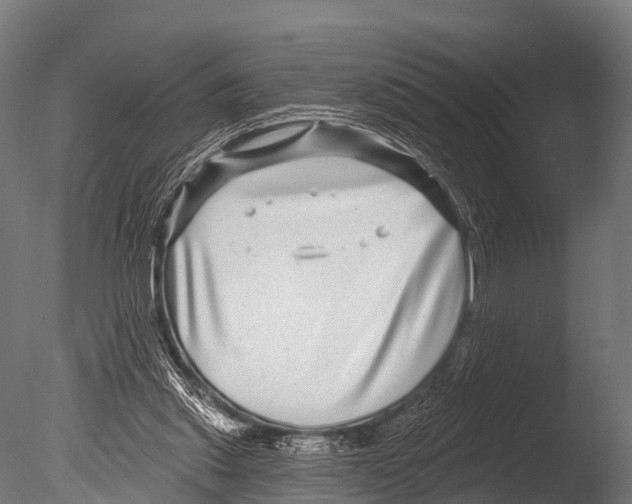 X0000085020253200704021435