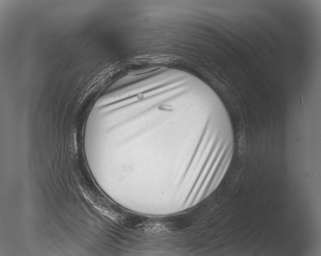 X0000085020254200704021435