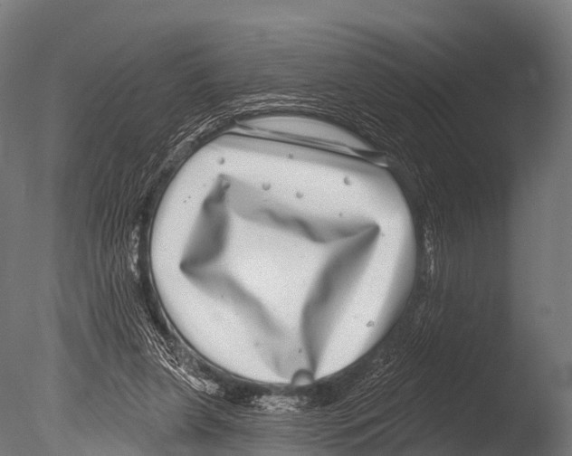 X0000085020255200704021435