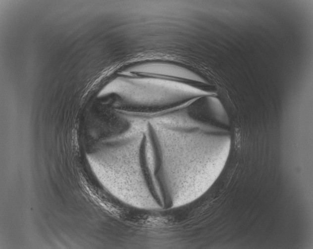 X0000085020256200704021435