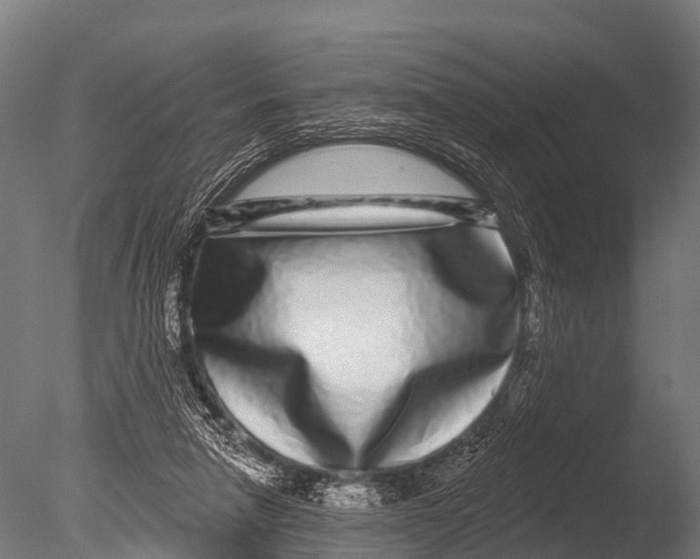 X0000085020258200704021435