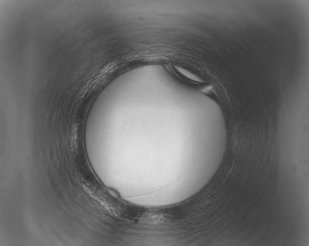X0000085020260200704021435