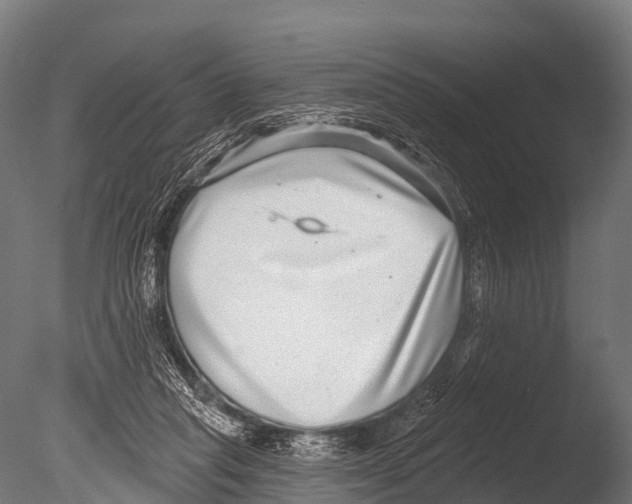 X0000085020261200704021435