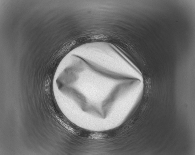 X0000085020269200704021435