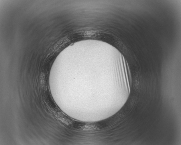 X0000085020270200704021435