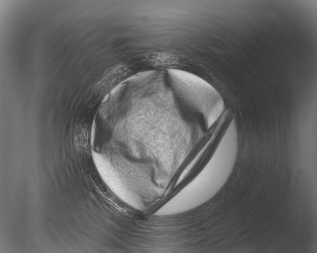 X0000085020281200704021435