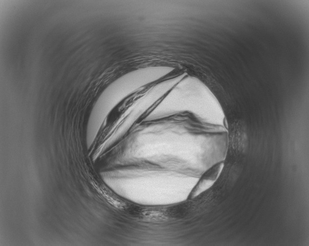 X0000085020285200704021435