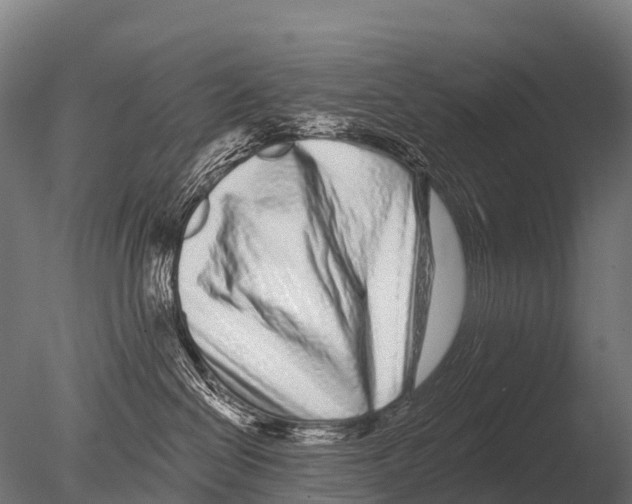 X0000085020286200704021435