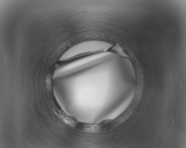 X0000085020288200704021435