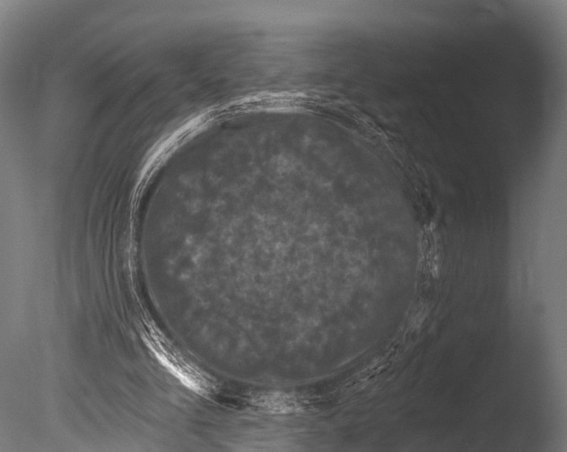 X0000085020293200704021434
