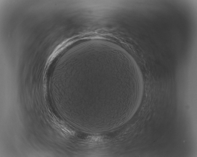 X0000085020295200704021434