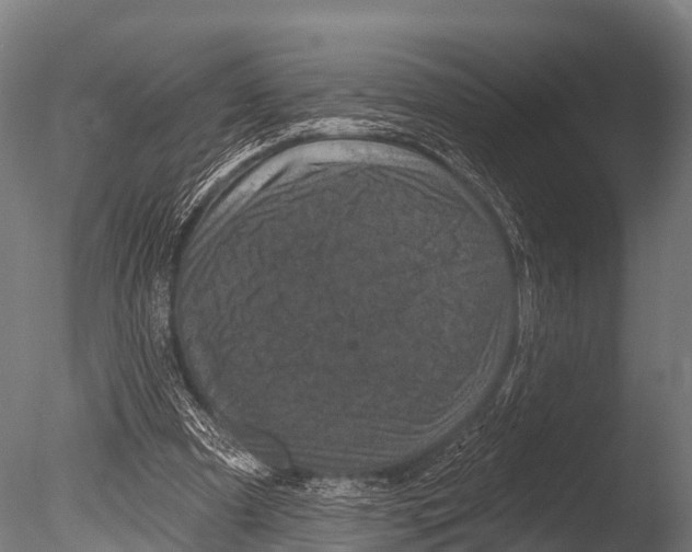 X0000085020297200704021434