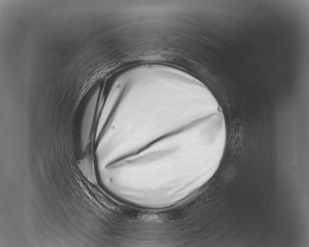 X0000085020299200704021434