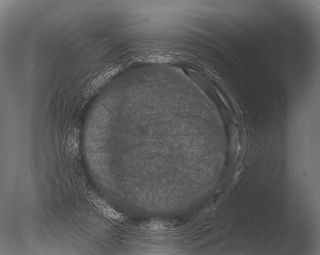 X0000085020305200704021434
