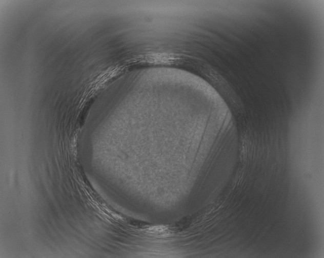 X0000085020309200704021434