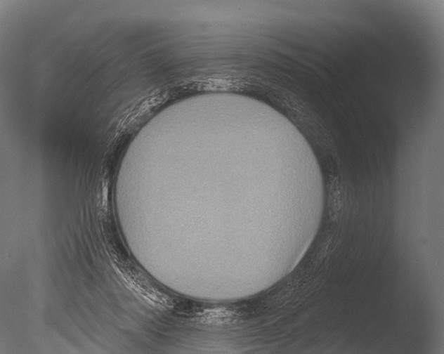 X0000085020310200704021434
