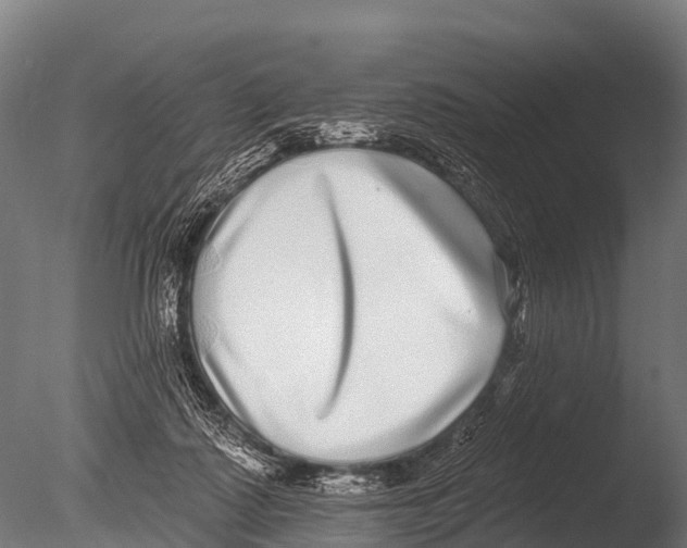 X0000085020315200704021434