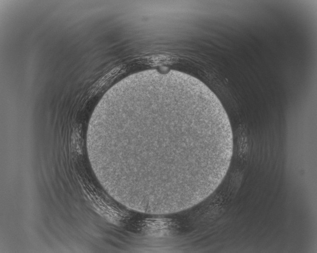 X0000085020316200704021434