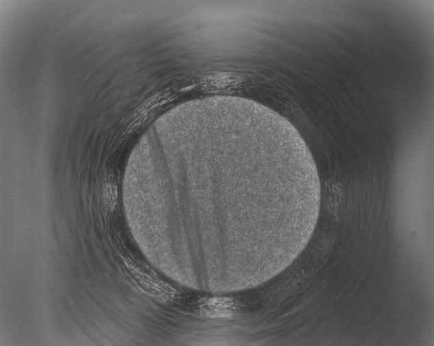 X0000085020324200704021434