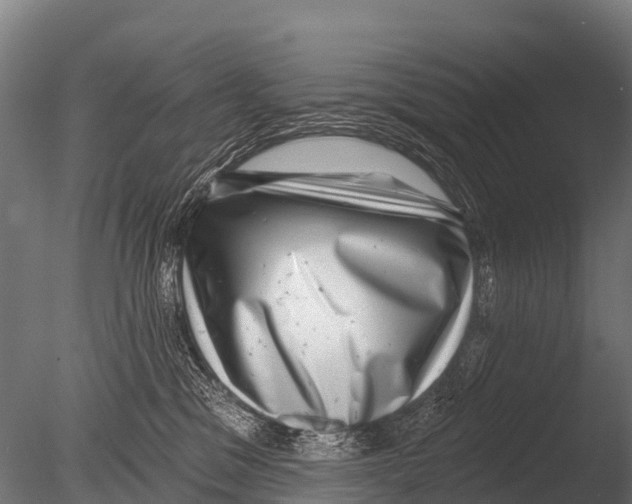 X0000085020329200704021434